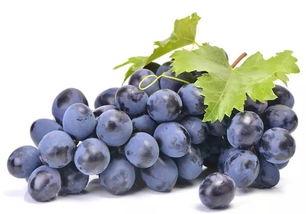 吃瓜群众葡萄儿,揭秘娱乐圈幕后故事