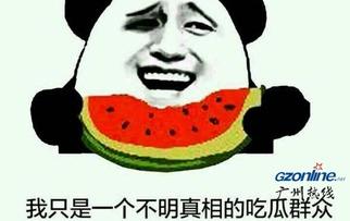 吃瓜吧什么意思,揭秘“吃瓜吧”背后的网络文化现象