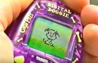 电子宠物吃瓜,揭秘虚拟世界的趣味生活