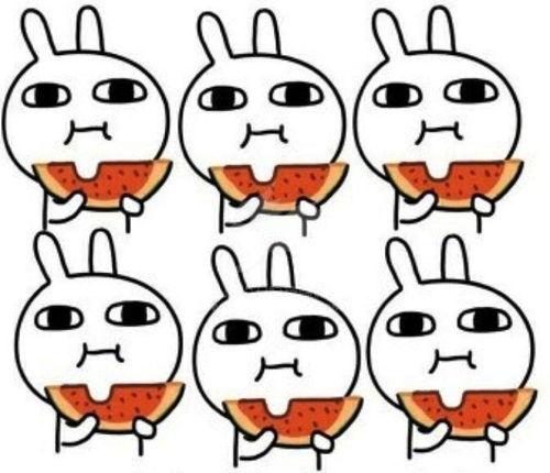 吃瓜圈子,一场全民参与的娱乐盛宴