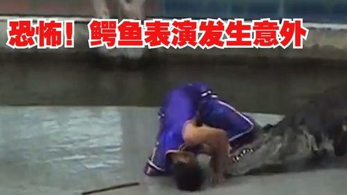 吃瓜圈子,一场全民参与的娱乐盛宴