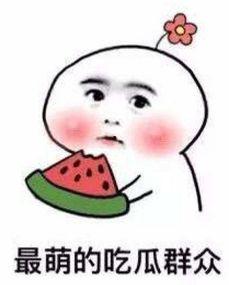 读稿吃瓜博主,揭秘幕后故事与热门话题