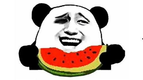 对女生说吃瓜,揭秘吃瓜背后的趣味与真相