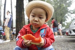 国际动态显卡吃瓜