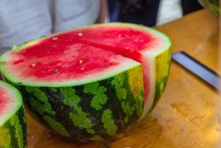 广州吃瓜大学,大学生活的多面镜