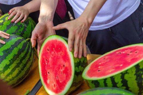 广州吃瓜大学,大学生活的多面镜