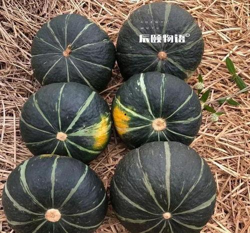 家附近吃瓜,探寻家门口的美食故事