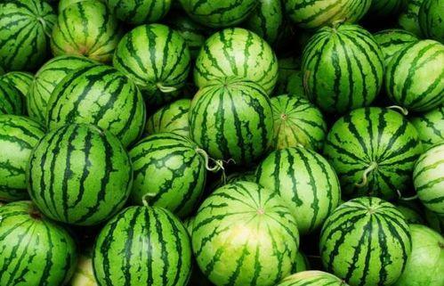 吃瓜四小花,吃瓜四小花，揭秘当红小花旦的幕后故事