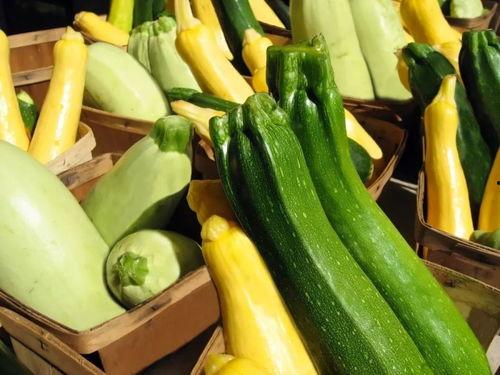 jimi吃瓜,揭秘Jimi吃瓜背后的故事与趣味