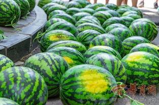 学校的瓜怎么吃