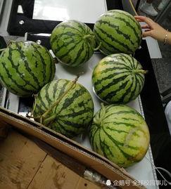 学校的瓜怎么吃