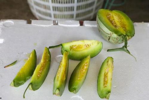 仲夏绮梦哪里吃瓜,探寻夏日美食新地标