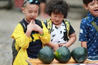 萌娃看戏吃瓜,吃瓜群众笑翻天