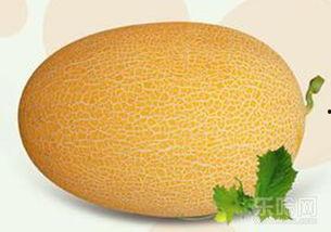 吃哈密瓜西瓜会不会长胖,揭秘夏日消暑水果的体重影响