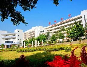 漳州科技学院吃瓜,揭秘校园热点事件