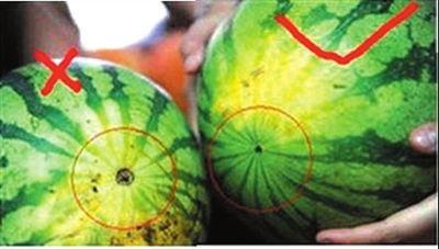 成都吃瓜彩虹圈,彩虹圈背后的独特风味之旅