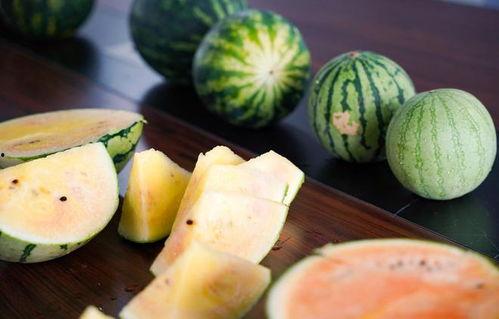 成都吃瓜彩虹圈,彩虹圈背后的独特风味之旅