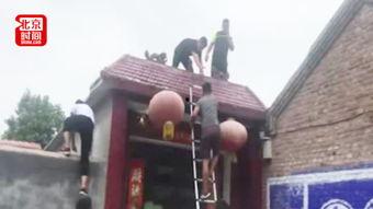 搬椅子吃瓜视频,揭秘吃瓜群众的现场直播奇观