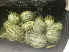 搬椅子吃瓜视频,揭秘吃瓜群众的现场直播奇观