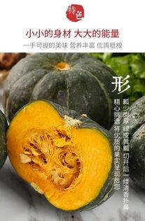 满足吃瓜视频,带你领略网络娱乐新潮流