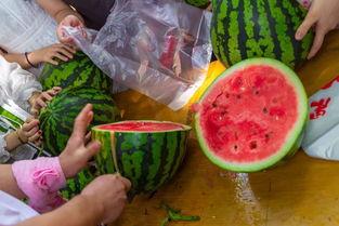 满足吃瓜视频,带你领略网络娱乐新潮流