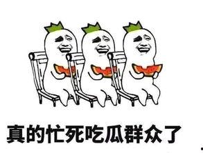 上班吃瓜下班吃瓜每天不一样的瓜,上班下班两不误，瓜界新潮流