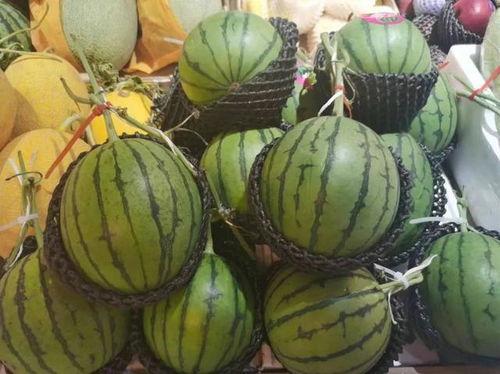 三千顶流吃瓜,揭秘娱乐圈神秘“吃瓜”盛事