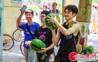 学校吃瓜口号,揭秘学校吃瓜口号背后的故事