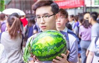 学校吃瓜口号,揭秘学校吃瓜口号背后的故事