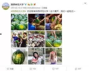 学校吃瓜口号,揭秘学校吃瓜口号背后的故事