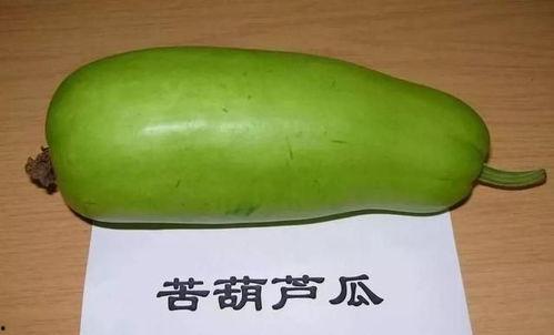 吃瓜是苦的,探寻瓜果口感背后的秘密