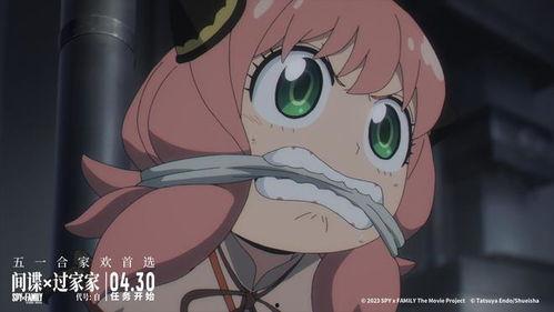 吃瓜阿尼亚,网络红人的崛起与影响力