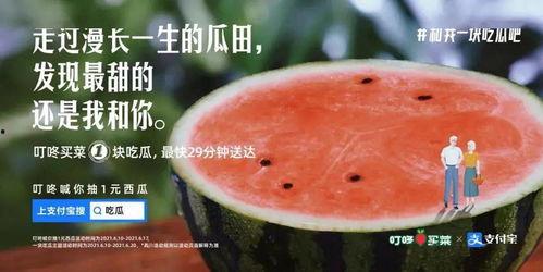 长期吃瓜群文案,揭秘长期吃瓜群的趣味与智慧