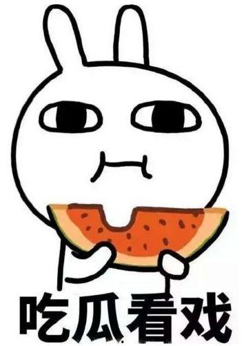 龙城吃瓜完整后续,揭秘真相，揭开神秘面纱