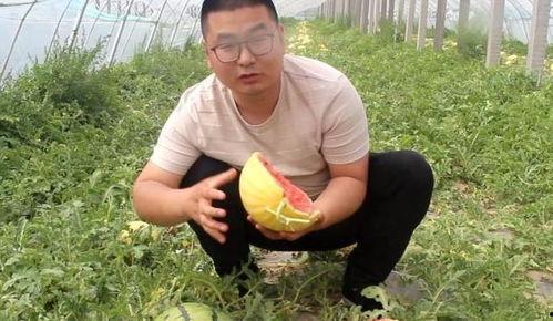 朋友总愿意吃瓜