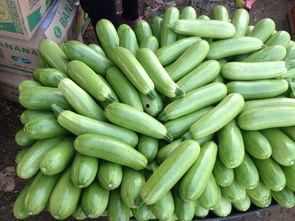 吃白瓜忌什么,吃白瓜时需注意的饮食宜忌