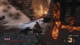 燕云吃瓜录播,揭秘娱乐圈幕后故事