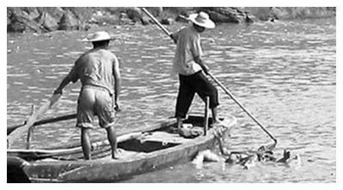 吃瓜捞尸,揭秘网络暴力的双重面孔