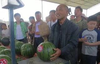 舟曲吃瓜群众,舟曲“吃瓜群众”视角下的民生百态