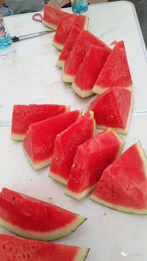 吃瓜群众 每日大赛,揭秘热门事件背后的真相与笑料