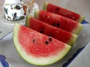 吃西瓜看西瓜吃瓜,吃西瓜、看西瓜、吃瓜者的趣味之旅