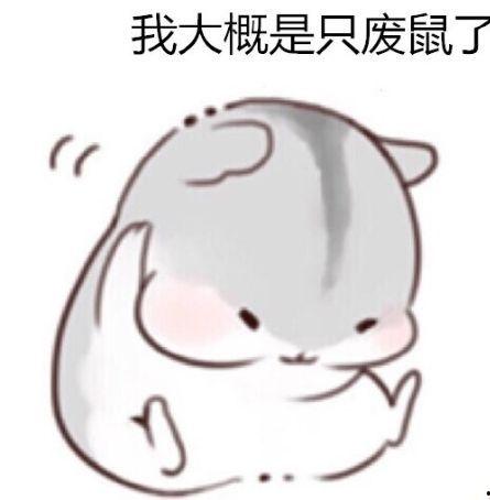 跟着瓜哥带你吃瓜,尽享人间烟火气