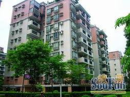 保定吃瓜小区,邻里琐事中的社区生活剪影