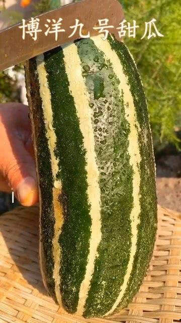 大姨妈可以吃熟瓜么